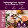 Bio one™ deep clean + surface cleanser concentrate bundle