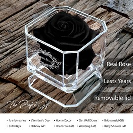 Eternal Petals A 100% Real Rose That Lasts Years, Handmade in UK – White Gold Solo (Black)