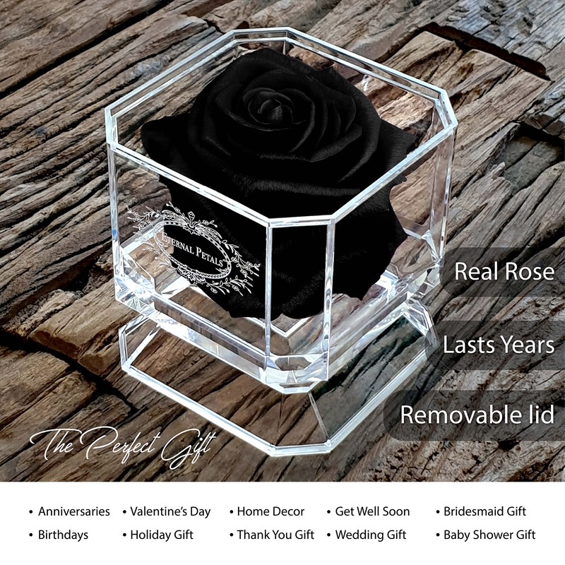 Eternal Petals A 100% Real Rose That Lasts Years, Handmade