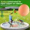 QWACVRTM Bird Bath Copper Disk, 99.99% Pure Copper Cleaning Disk,