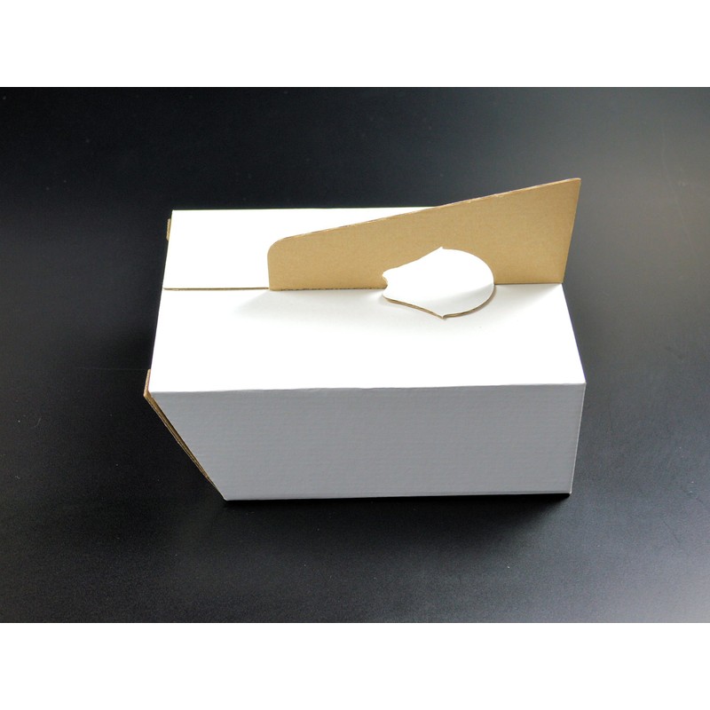 Pos Display Shop Small CardBoard Suggestion Box - flat pack