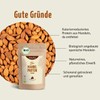 Organic Almond Protein Powder 250 g | Protein and Fibre