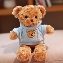 Gwxqybfe 10inch Teddy Bear Stuffed Animal with Hoodie, Soft Stuffed Bear Plushie Toys, Birthday Christmas Valentine's Day Gifts for Kid Boys Girls (Blue)