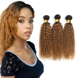 16 16 16 inch Honey Blonde Kinky Curly Bundles 1B27 Ombre Bundles Curly Wave Human Hair Grade 8A Black And Honey Blonde Bundles Human Hair Wet and Wavy Bundles