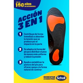 Sch Plant Zona Lumbar In Balance T/L