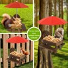Squirrel Feeder Picnic Table with Umbrella & Corn Cob Holder,