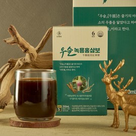 Cheonjemyeong Red Ginseng [Cheonjemyeong] 6-year-old Deer Antler Red Ginseng (50ml x 30 packs) Gift bag type / 천제명홍삼 [천제명] 6년근 우슬녹용홍삼보 (50ml x 30포) 선물 가방형