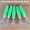 Taicols Squid Jig Fishing Lure, 5 Pcs Luminous Calamari jigs
