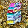 Castle Cat 6-Pack Cloth Diapers with 12 Inserts & 2