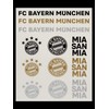 FC Bayern München Sticker Card Set of 2 Stickers 31919