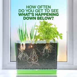 Dan&Darci Root Viewer Kit for Kids - Grow Your Own Plant Craft Growing Kits for Boys, Girl