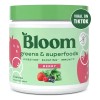 Bloom Fibra Polvo Fresa Kiwi 145g - 25 Porciones