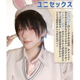 Wig, Men's Wolf, Black, Inner Color, Blue, Short, Handsome, Natural, Small Face, Easy to Wear, Heat Resistant, Harajuku Style, Fashion, High Quality