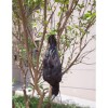 Etistta 17 inch Realistic Hanging Dead Crows Decoy Lifesize Extra