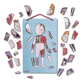 Janod Bodymagnet Educational Human Body Game - Anatomy, Organs, Skeleton, Muscles - 76 Magnetic Pieces - From 7 Years Old, 12 Languages, J05491