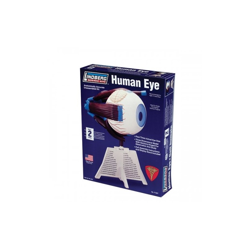 Lindberg Human Eye