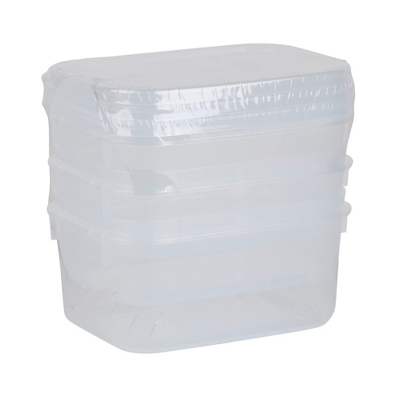 Décor 002751-004 Food Storage Container, 500 mL, Oblong, Pack of