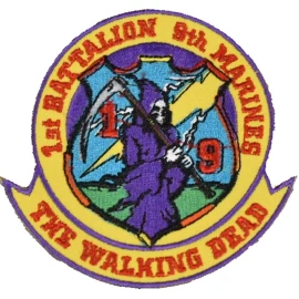 EE USMC 1ST FIRST BN BATTALION 9TH NINETH MARINES THE WALKING DEAD PATCH VET 1/9