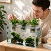 4 Pcs Hanging Aquarium Plant Holder with Feeders, Adjustable Height