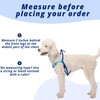 ShawnCo Dream Walk Pro Dog Harness- No-Pull, Comfortable, Adjustable, Easy