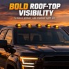 5-Piece 12V LED Cab Roof Marker Light Kit with Smoked
