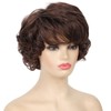 Kaneles Short Brown Curly Wavy Wig with Hair Bangs Synthetic