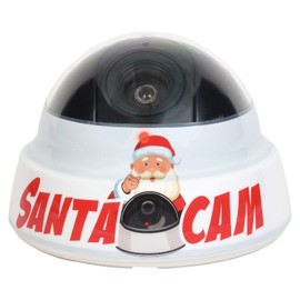 Department 56 Santa Cam Red Blinking Simulated Camera and Book Set, 3.54 Inch, Multicolor