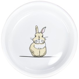 Nobby Rabbit Rodent Ceramic Bowl Diameter 11 cm x 4.5 cm Salmon/White