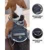 DF No Pull Martingale Dog Harness, Easy Walking & Comfortable