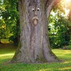 BTMIEY 3D Tree Face Yard Art Decorations Funny Old Man