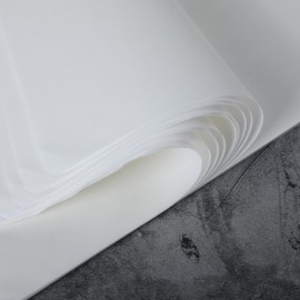 Skyygemm 50 Sheets Chinese Calligraphy Writing Rice Paper for Craft 10.2 x 14.2 Inch Chinese Japanese Paper Drawing Calligraphy Practice Paper Sketch Painting Xuan Paper Without Grids Art Supplies