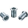 LOBTEX Blind Nut "Nut" (Flat Head, Steel) Eco Pack, Plate