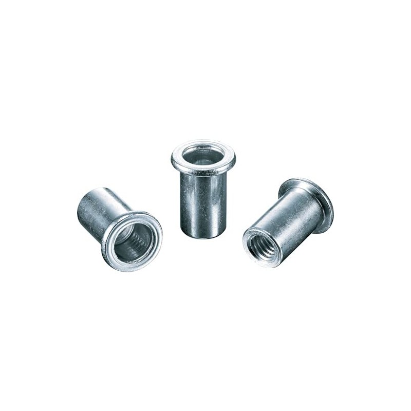 LOBTEX Blind Nut "Nut" (Flat Head, Steel) Eco Pack, Plate
