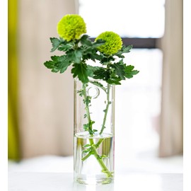 Kingbuy Wall Hanging Planter Glass Plant Propagation Station for Home Office Decor, Medium Cylinder, 2 Pack