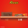 REESE'S NUTRAGEOUS Chocolate, Peanut Butter, Caramel and Peanut King Size,