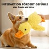 CARxlythic 2pcs Anti-stress Duck Dog, Chew Toy for Dogs for