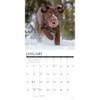 Labs 2026 12" x 12" Wall Calendar