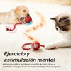 Chewie Ball, Juguete Interactivo para Gatos, Rojo+Verde