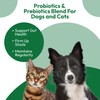 Probiotic Paste for Dogs & Cats – Probiotics with Prebiotics