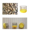 Ximimark 3Pcs Beekeeping Queen Needle Type Bee Cage Stainless Steel