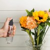 YuanHolumid Transparent Portable Empty Spray Bottles Refillable Container Bottle No-Toxic