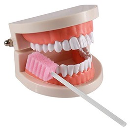 Disposable Oral Swabs, Sterile Dental Sponge Swabsticks Unflavored for Mouth & Gum Cleaning (250 Pack/box)