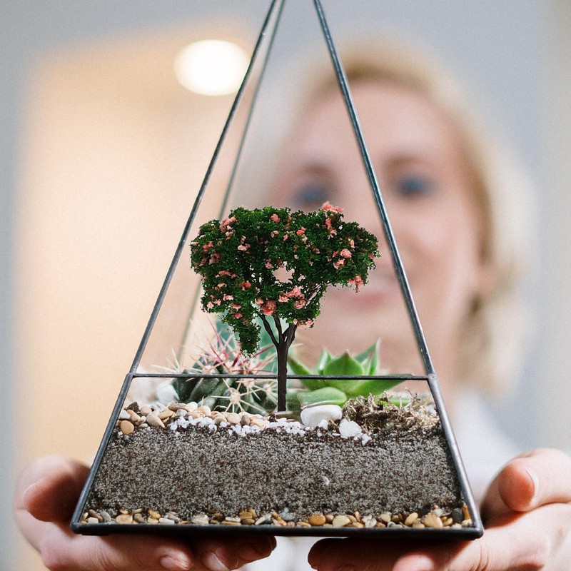 EXCEART 5pcs Miniature Garden Model Tree Tabletop Mini Figure Multi-function