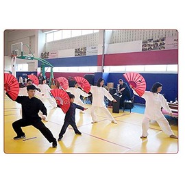 Anitofo パフォーマンスダンピングファイティング用の手折りたたみファン中国のカンフー太極拳