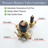 COXOVAY Wall Mount Shower Mixer Valve 2 Function Shower Valves