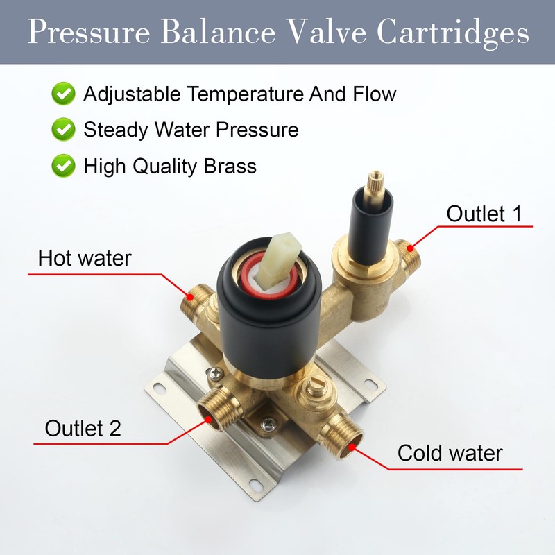 COXOVAY Wall Mount Shower Mixer Valve 2 Function Shower Valves