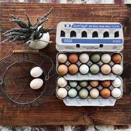 Jumbo Egg Cartons for 12 Farm Fresh Eggs – Cute Printed Design, Recycled Paper Cardboard, Durable & Reusable Egg Container (75)