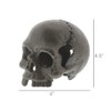 HomArt Skull, No Jaw