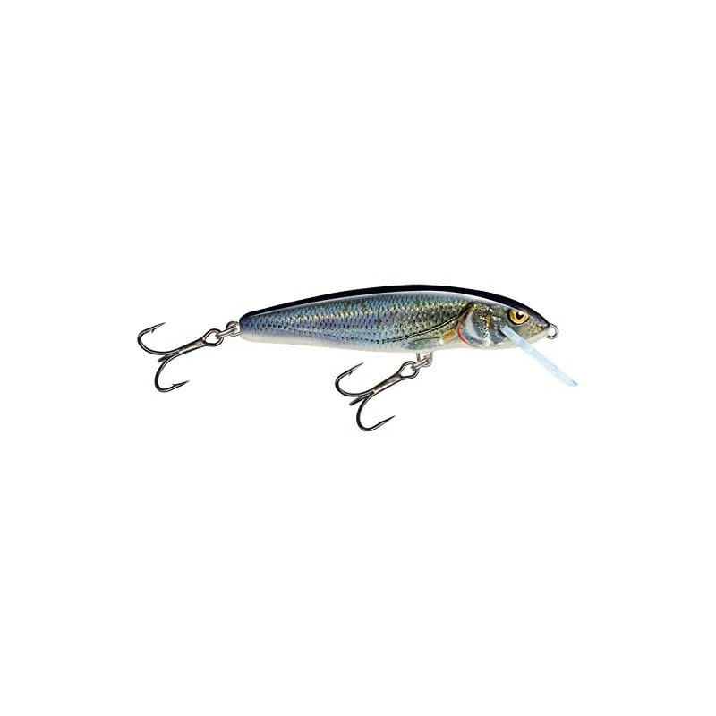 Salmo Artificial bait M6S Spirlin