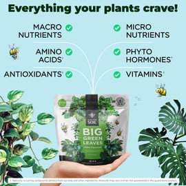 Big Green Leaves Indoor Plant Food - House Plant Fertilizer - Fast Acting Minerals +Superfood Sea Kelp | 4X More Concentrated Than Liquid Plant Food (1LB)